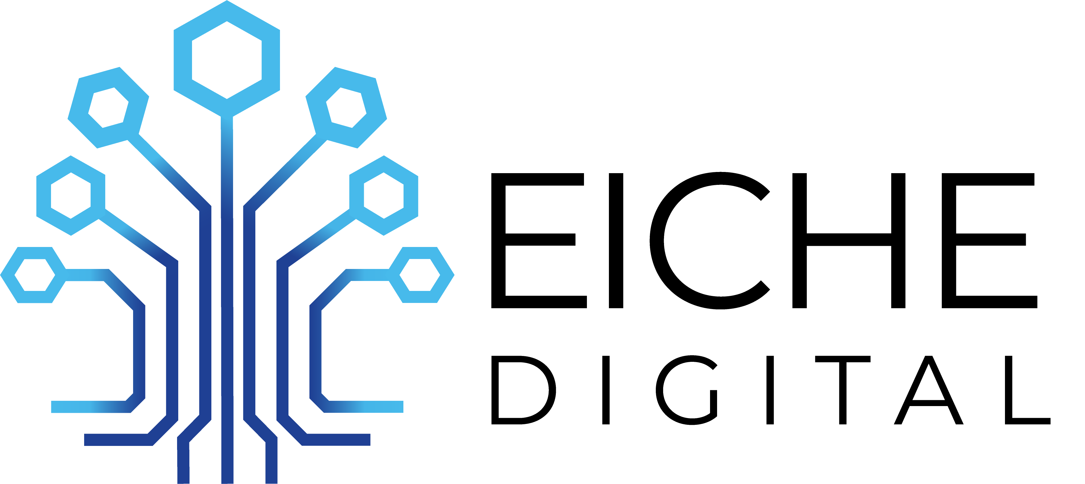 Eiche Digital Logo